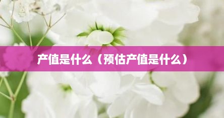 产值是什么（预估产值是什么）