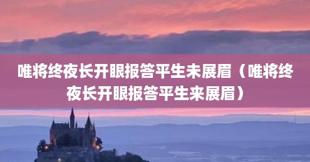 唯将终夜长开眼报答平生未展眉（唯将终夜长开眼报答平生来展眉）