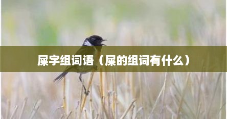 屎字组词语（屎的组词有什么）