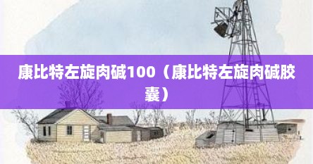 康比特左旋肉碱100（康比特左旋肉碱胶囊）