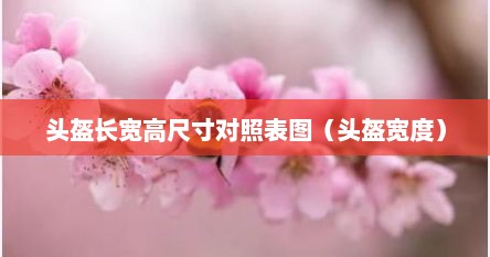 头盔长宽高尺寸对照表图（头盔宽度）