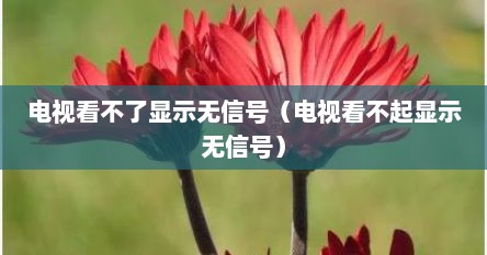 电视看不了显示无信号（电视看不起显示无信号）