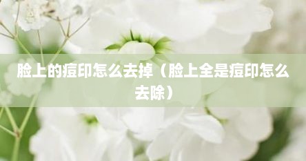 脸上的痘印怎么去掉（脸上全是痘印怎么去除）