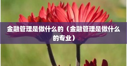 金融管理是做什么的（金融管理是做什么的专业）