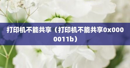 打印机不能共享（打印机不能共享0x0000011b）