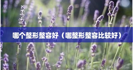 哪个整形整容好（哪整形整容比较好）