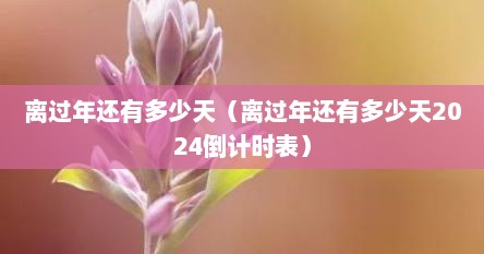 离过年还有多少天（离过年还有多少天2024倒计时表）