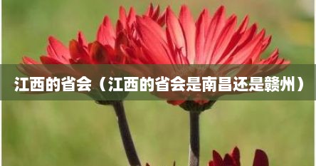 江西的省会（江西的省会是南昌还是赣州）