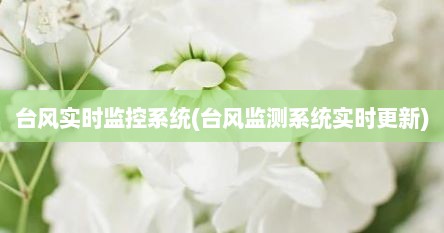 台风实时监控系统(台风监测系统实时更新)