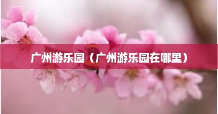 广州游乐园（广州游乐园在哪里）