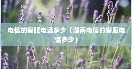 电信的客服电话多少（湖南电信的客服电话多少）