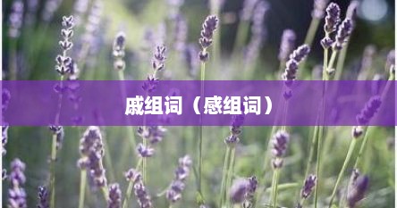 戚组词（感组词）