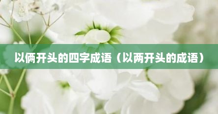 以俩开头的四字成语（以两开头的成语）