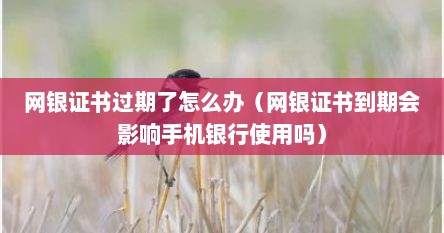 网银证书过期了怎么办（网银证书到期会影响手机银行使用吗）