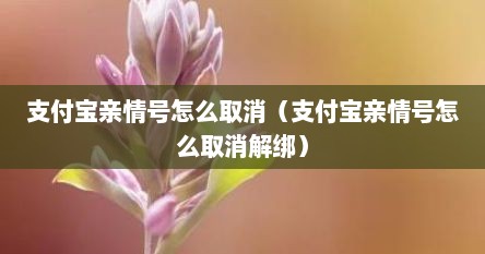 支付宝亲情号怎么取消（支付宝亲情号怎么取消解绑）