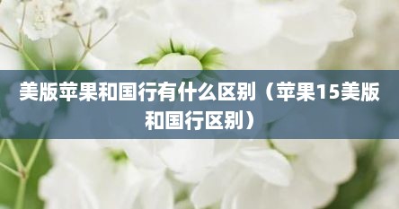 美版苹果和国行有什么区别（苹果15美版和国行区别）