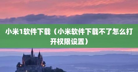 小米1软件下载（小米软件下载不了怎么打开权限设置）