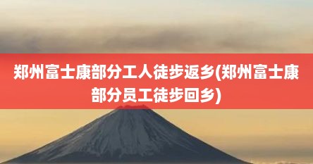 郑州富士康部分工人徒步返乡(郑州富士康部分员工徒步回乡)