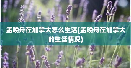 孟晚舟在加拿大怎么生活(孟晚舟在加拿大的生活情况)