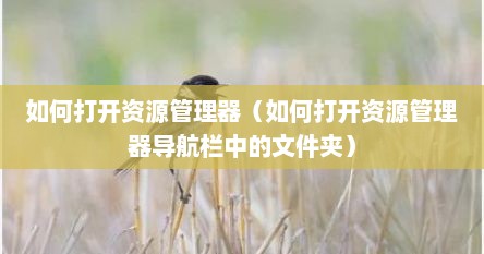 如何打开资源管理器（如何打开资源管理器导航栏中的文件夹）