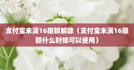 支付宝未满16限额解除（支付宝未满16限额什么时候可以使用）