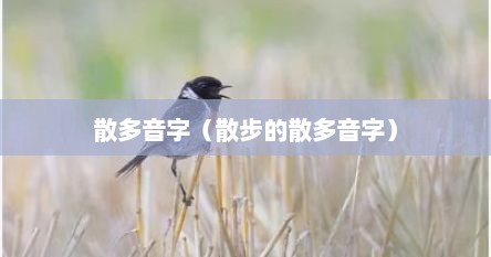 散多音字（散步的散多音字）