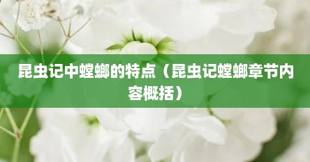 昆虫记中螳螂的特点（昆虫记螳螂章节内容概括）