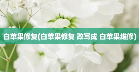 白苹果修复(白苹果修复 改写成 白苹果维修)