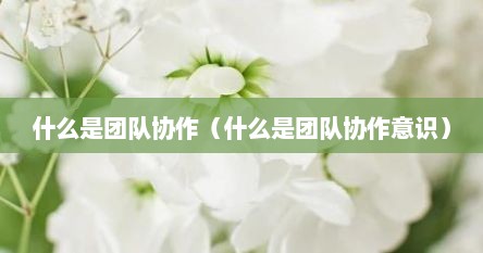 什么是团队协作（什么是团队协作意识）