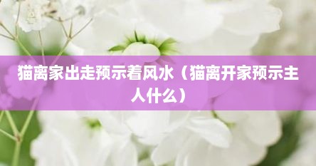 猫离家出走预示着风水（猫离开家预示主人什么）