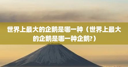 世界上最大的企鹅是哪一种（世界上最大的企鹅是哪一种企鹅?）