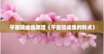 平面镜成像原理（平面镜成像的特点）