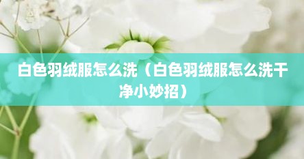 白色羽绒服怎么洗（白色羽绒服怎么洗干净小妙招）