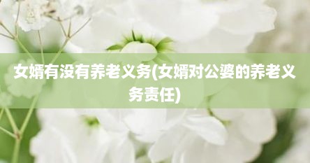 女婿有没有养老义务(女婿对公婆的养老义务责任)