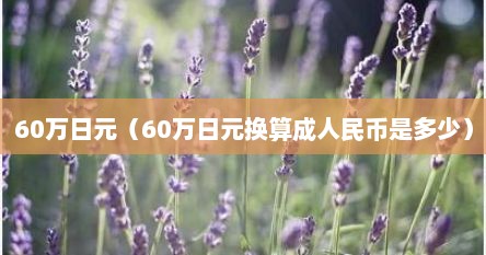 60万日元（60万日元换算成人民币是多少）