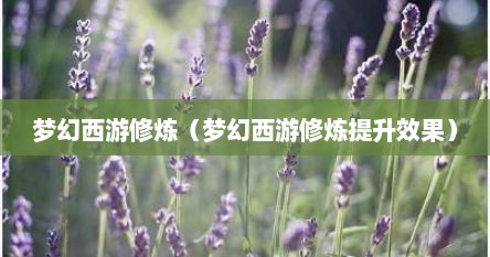 梦幻西游修炼（梦幻西游修炼提升效果）