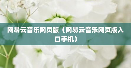 网易云音乐网页版（网易云音乐网页版入口手机）