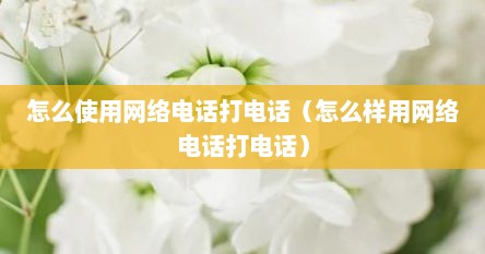 怎么使用网络电话打电话（怎么样用网络电话打电话）