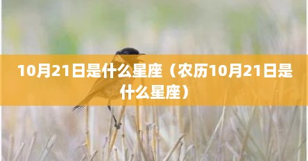 10月21日是什么星座（农历10月21日是什么星座）