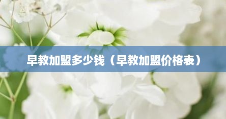 早教加盟多少钱（早教加盟价格表）