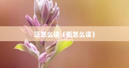 泛怎么读（衢怎么读）