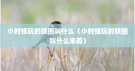 小时候玩的铁圈叫什么（小时候玩的铁圈叫什么来着）