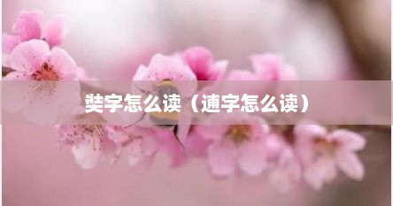 奘字怎么读（逋字怎么读）