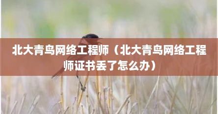 北大青鸟网络工程师（北大青鸟网络工程师证书丢了怎么办）