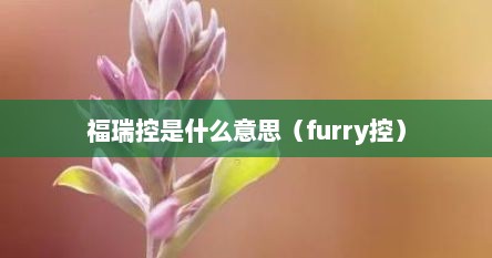 福瑞控是什么意思（furry控）