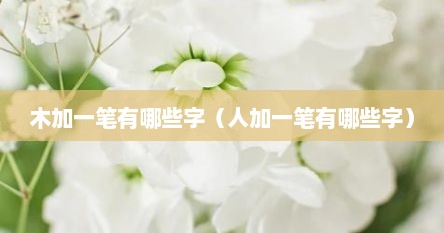 木加一笔有哪些字（人加一笔有哪些字）