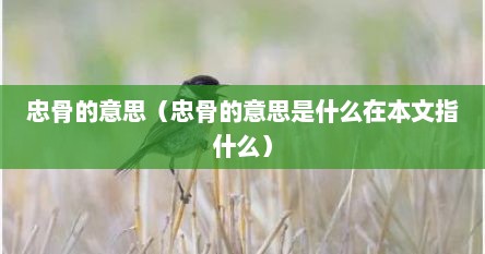 忠骨的意思（忠骨的意思是什么在本文指什么）