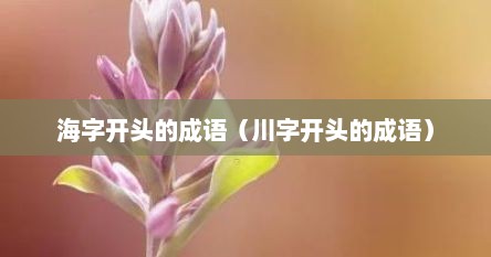 海字开头的成语（川字开头的成语）