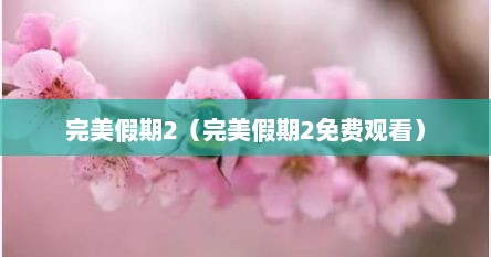 完美假期2（完美假期2免费观看）