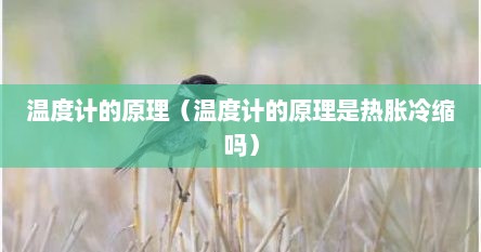 温度计的原理（温度计的原理是热胀冷缩吗）